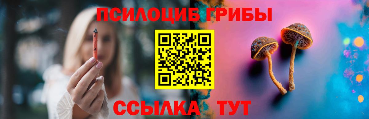 Псилоцибиновые грибы Psilocybe  Вход с VPN  Добрянка  Галлюциногенные грибы Psilocybine cubensis 
